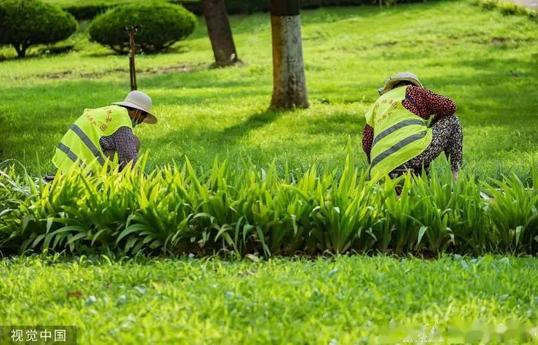 大理城市绿化护栏规范