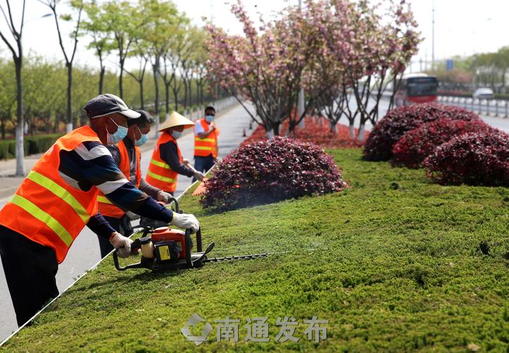 吐鲁番绿化工程报价表下载