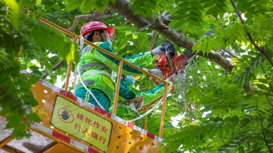 蔡家水土大桥附近绿化工程