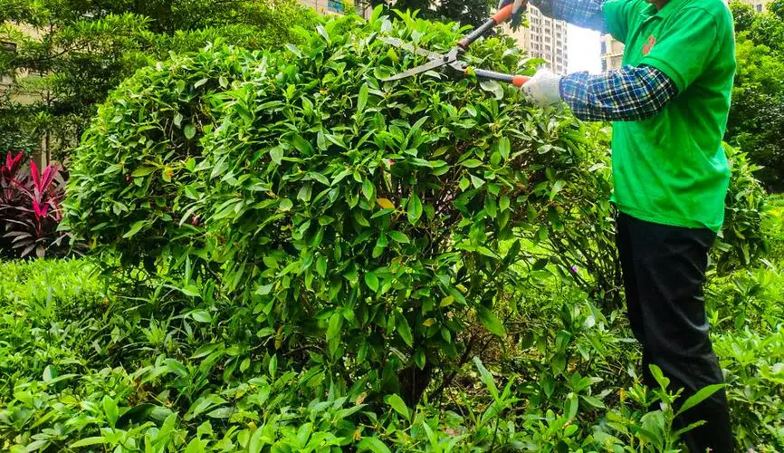 盐城绿化工程施工班组有哪些