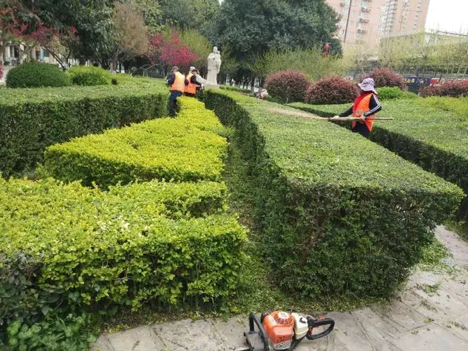 绿化工程如何利用微生物和土壤改良技术实现生态建设？